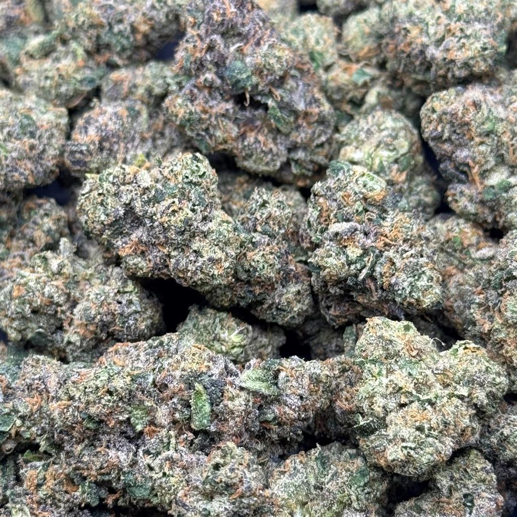 ZOOTIES 34.17%