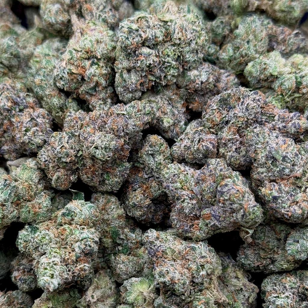 PURPLE STAR KILLER 33