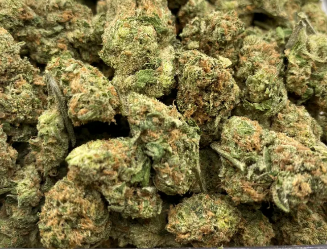 RED NECK WEDDING 27.8