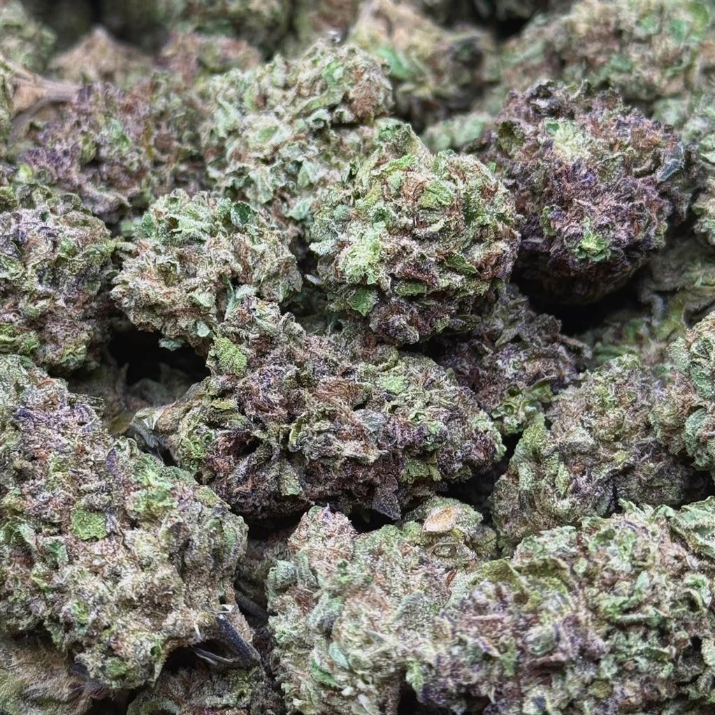 PURPLE SOUR DIESEL