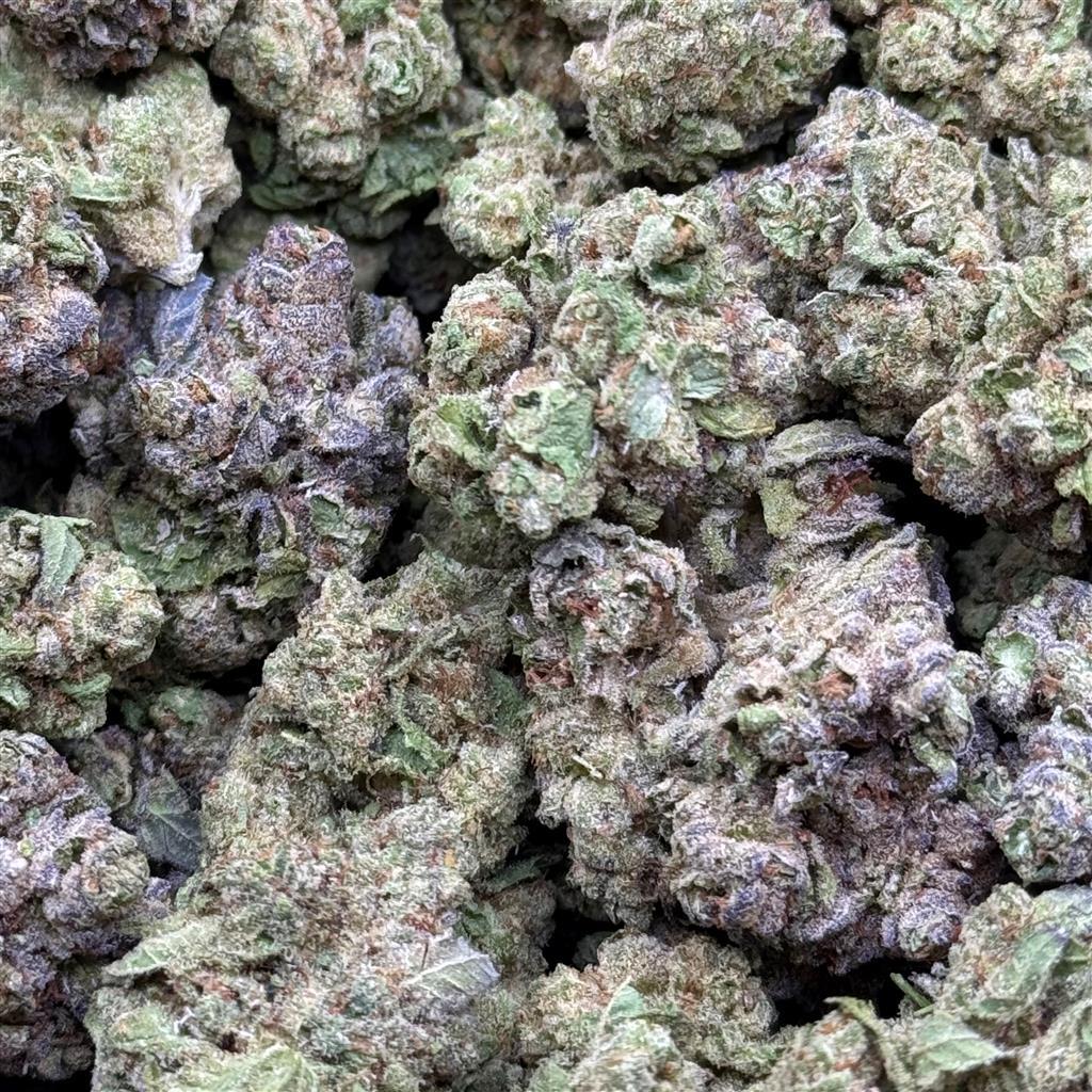 BISCOTTI X G41 26.75%